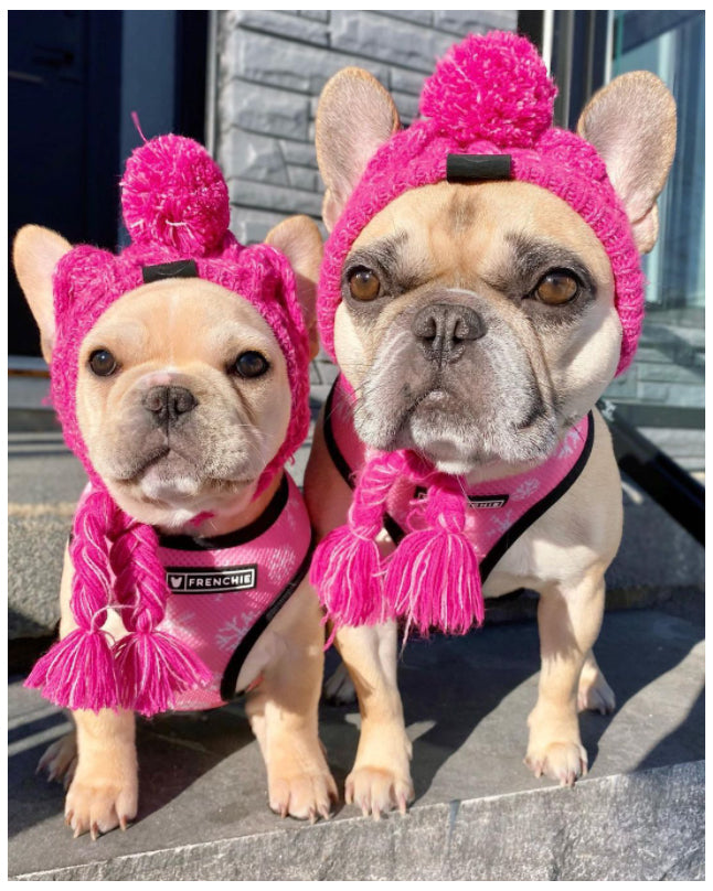 Gorro Pet - Para cachorro e gato