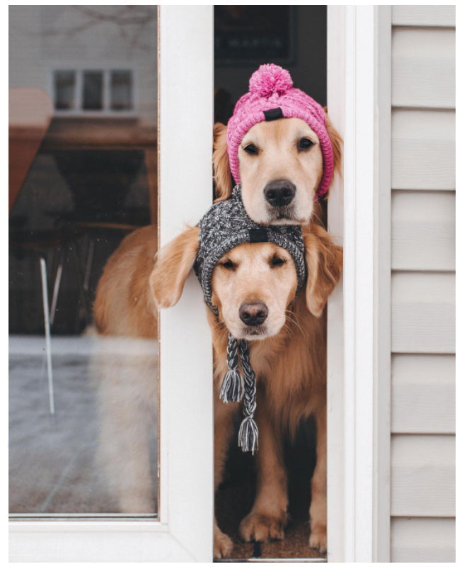 Gorro Pet - Para cachorro e gato