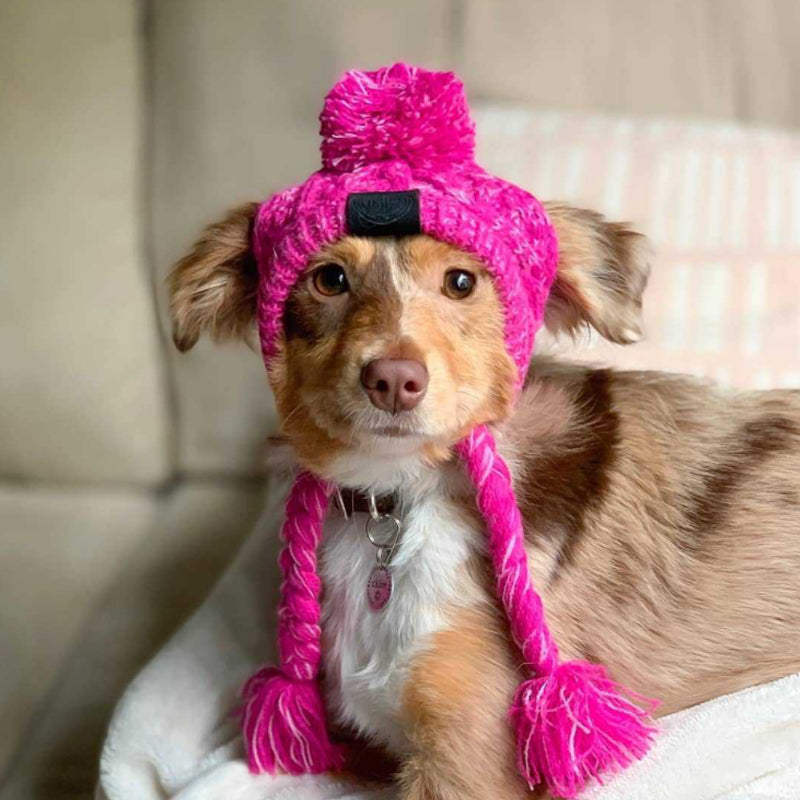 Gorro Pet - Para cachorro e gato