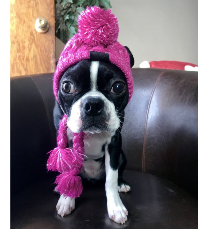 Gorro Pet - Para cachorro e gato