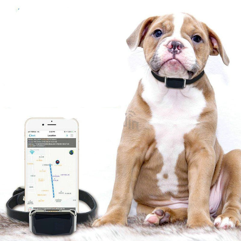 Coleira GPS - A prova d'água com microfone