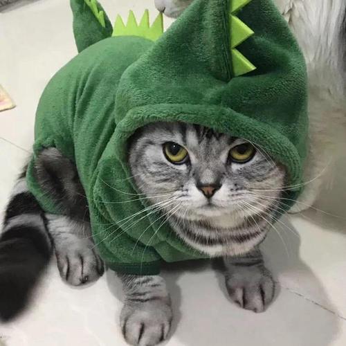 Fantasia Pet Dino - Para cachorro e gato