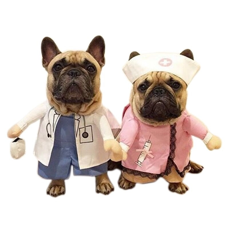 Fantasia Pet Médico - Para cachorro e gato