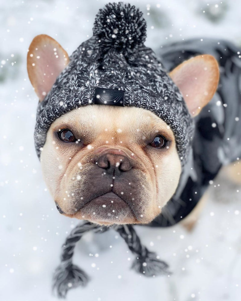 Gorro Pet - Para cachorro e gato