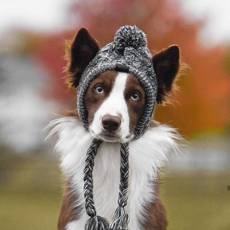 Gorro Pet - Para cachorro e gato